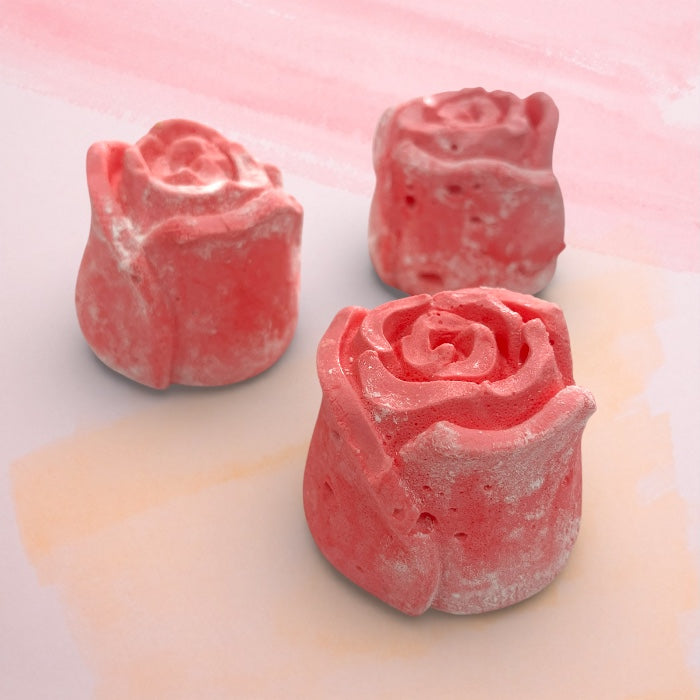 Marshmallow Strawberry Rose